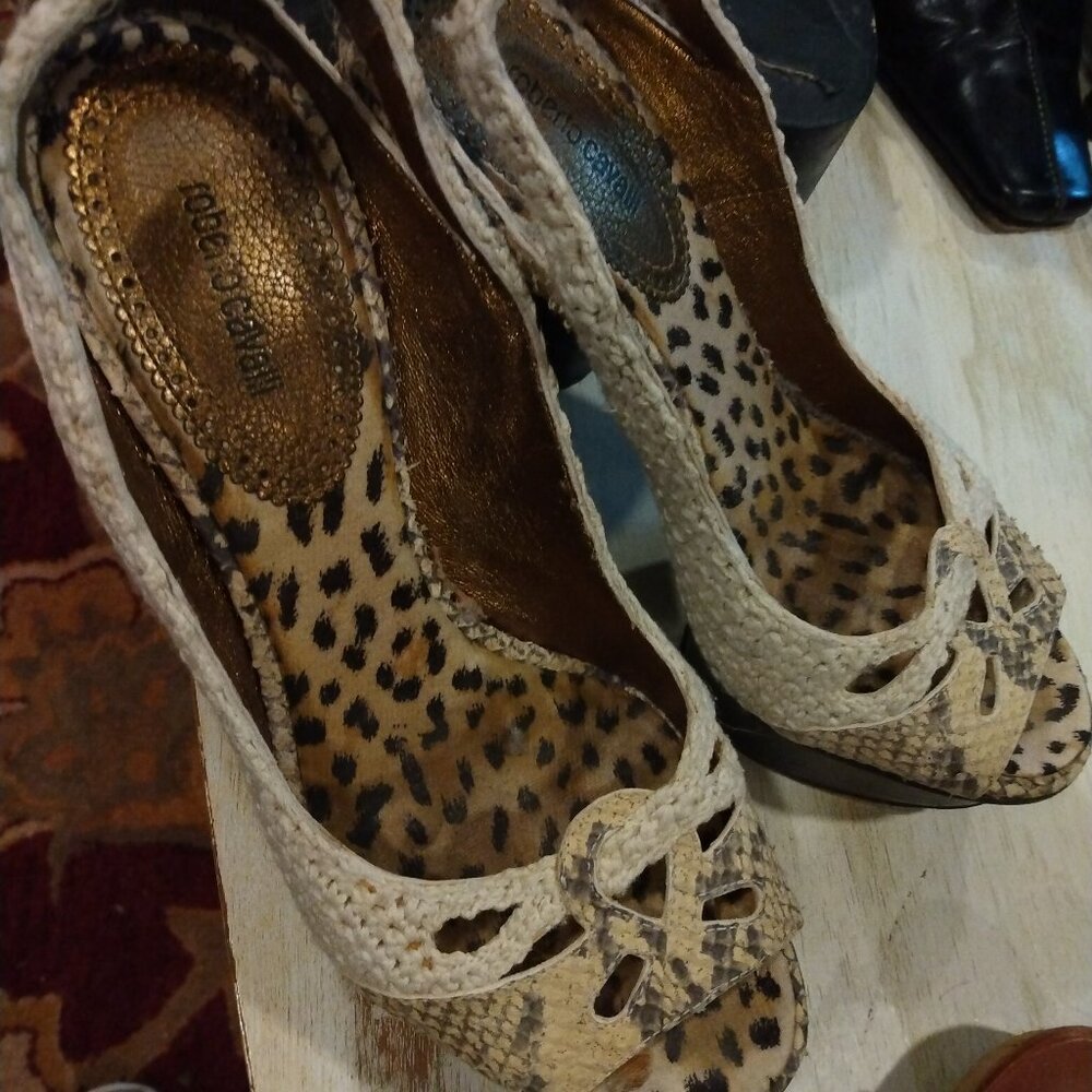 Roberto Cavali Pumps